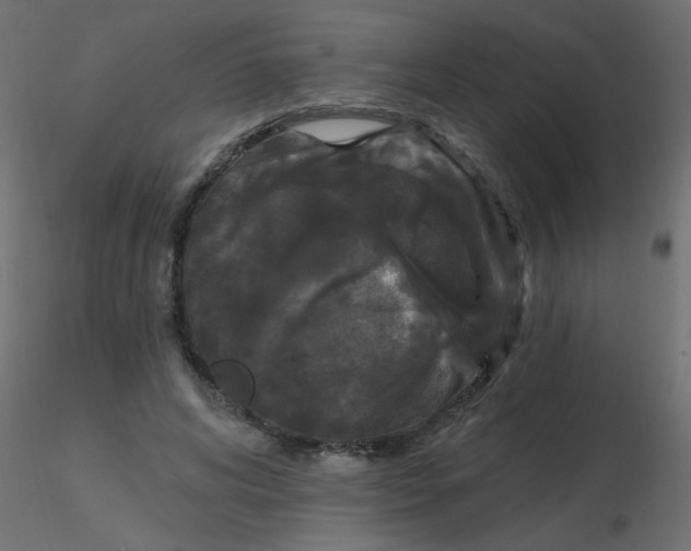 X0000116610592200912312119