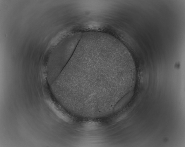 X0000116610593200912312119