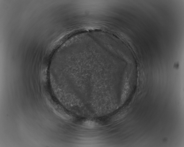 X0000116610596200912312119