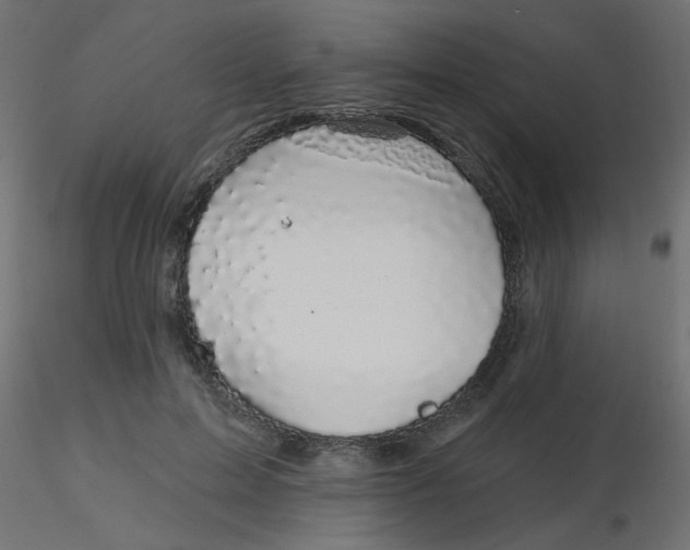 X0000116610599200912312119