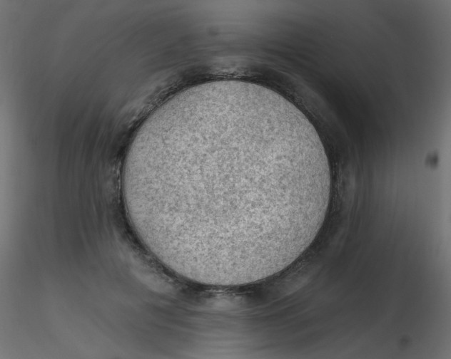 X0000116610601200912312119