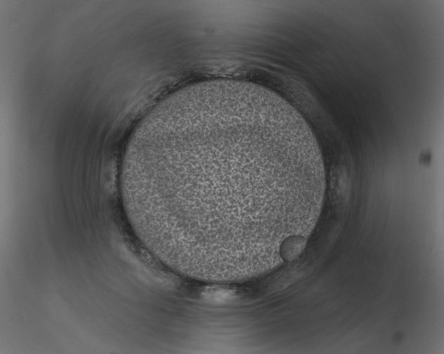 X0000116610602200912312119