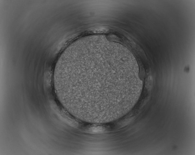 X0000116610604200912312119