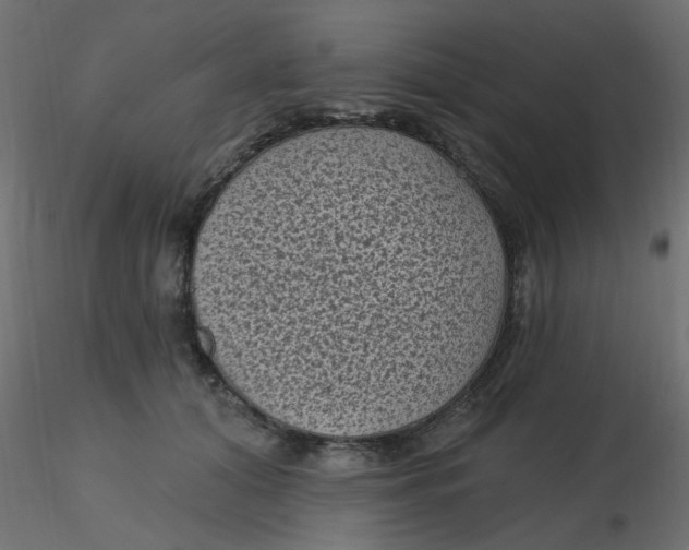 X0000116610608200912312119