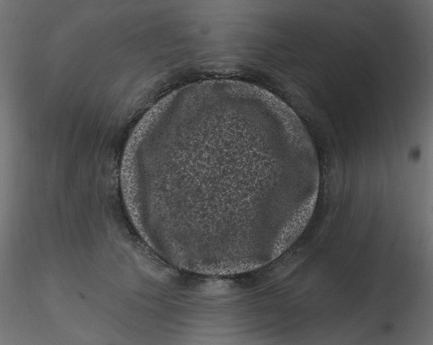 X0000116610609200912312119