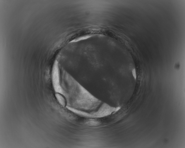 X0000116610610200912312119