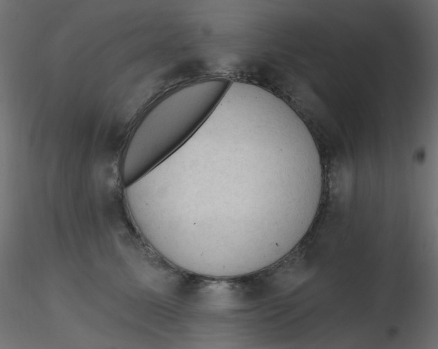 X0000116610611200912312119