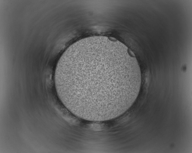 X0000116610615200912312119