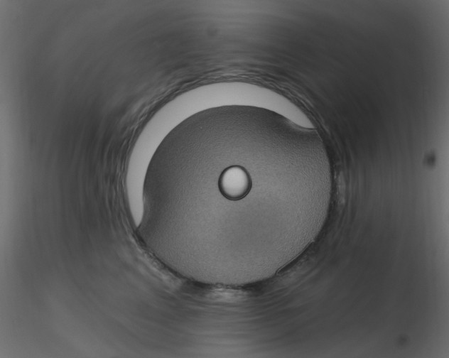 X0000116610617200912312119