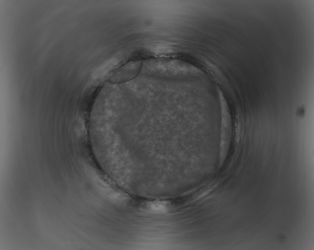 X0000116610618200912312119