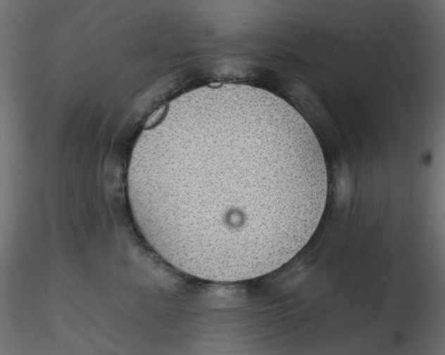 X0000116610619200912312119