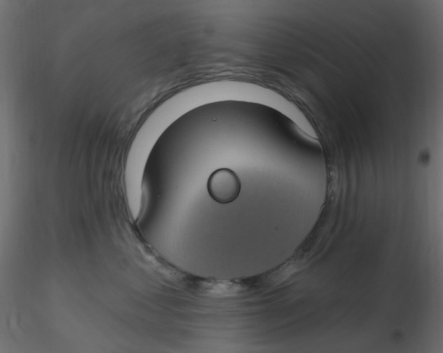 X0000116610621200912312119