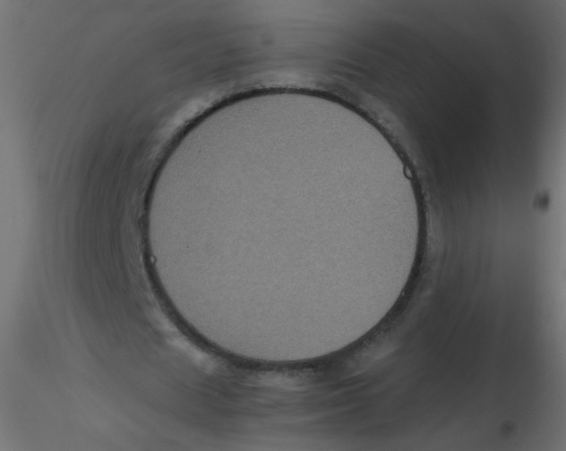 X0000116610625200912312118