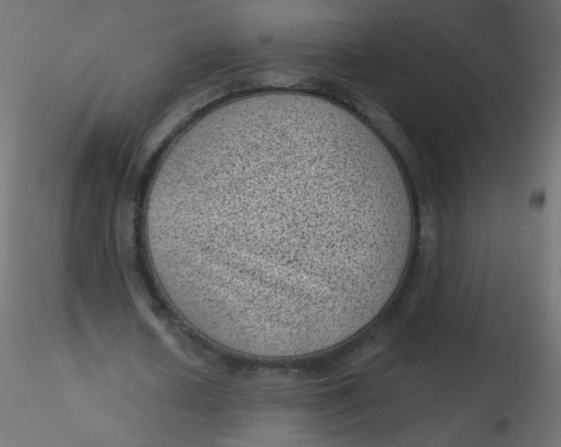 X0000116610626200912312118