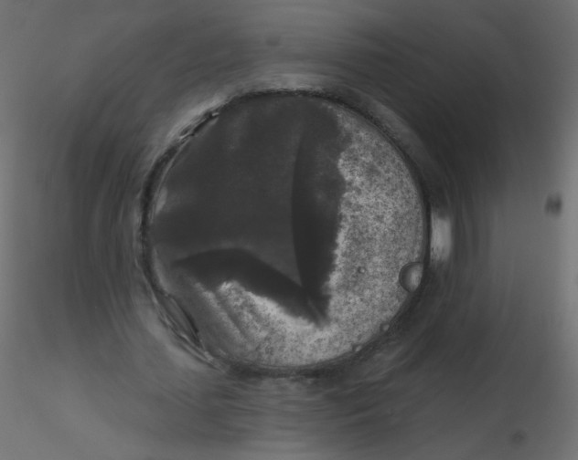 X0000116610627200912312118