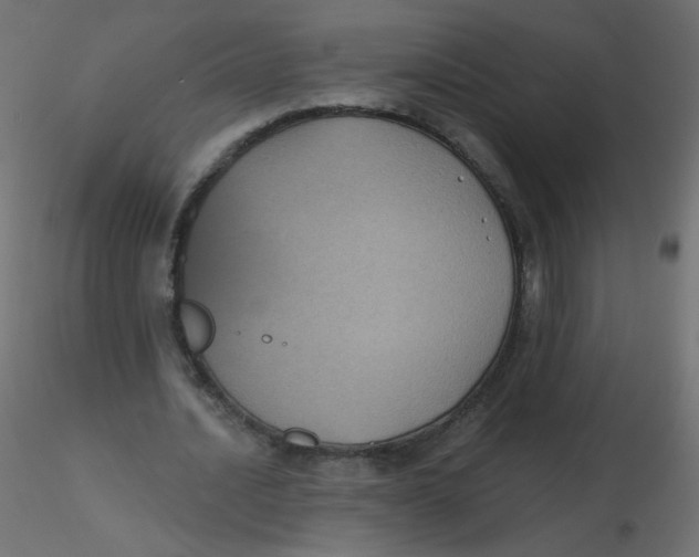 X0000116610628200912312118