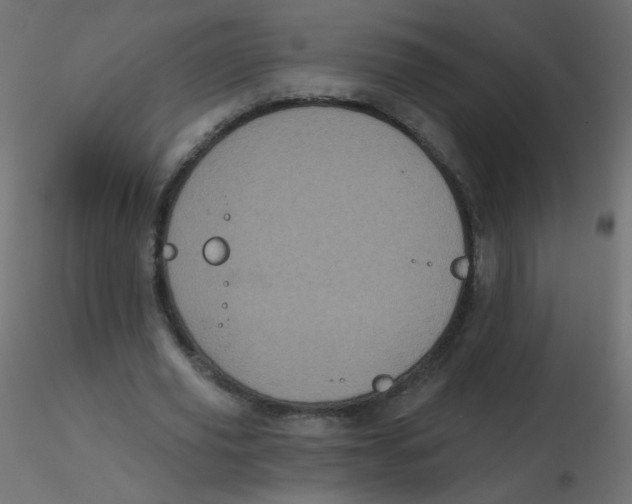 X0000116610629200912312118