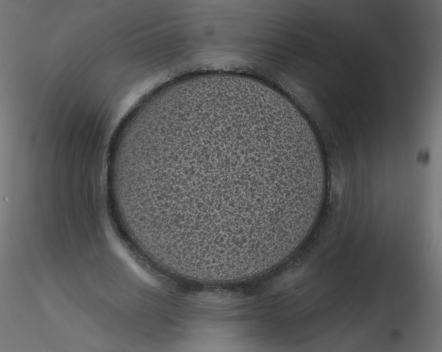 X0000116610630200912312118