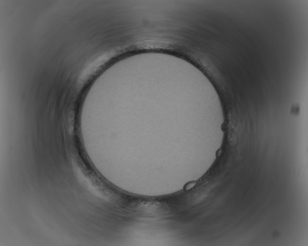 X0000116610631200912312118