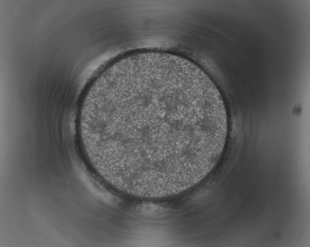 X0000116610632200912312118