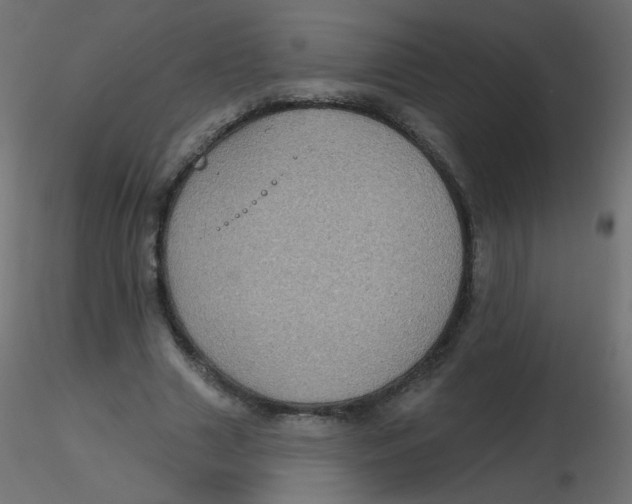 X0000116610633200912312118