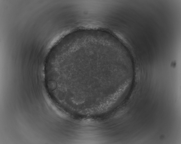 X0000116610634200912312118