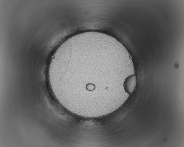 X0000116610635200912312118