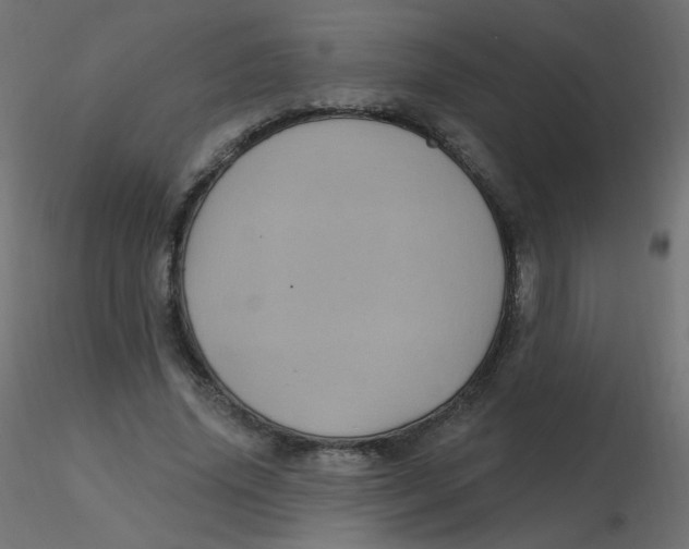 X0000116610636200912312118