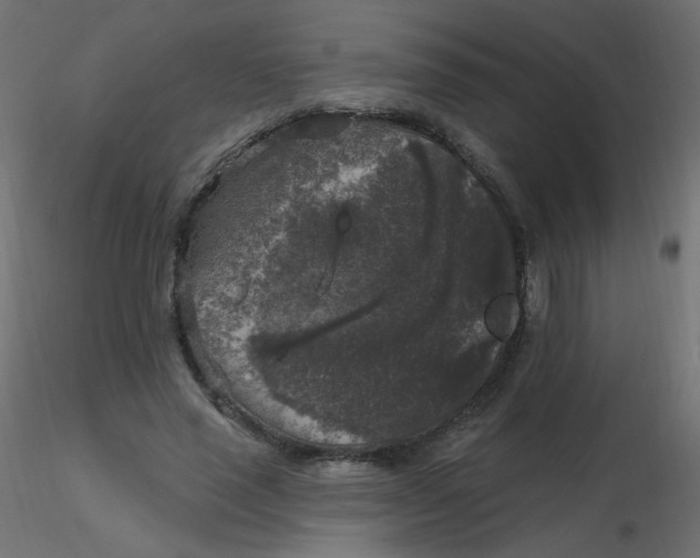 X0000116610637200912312119