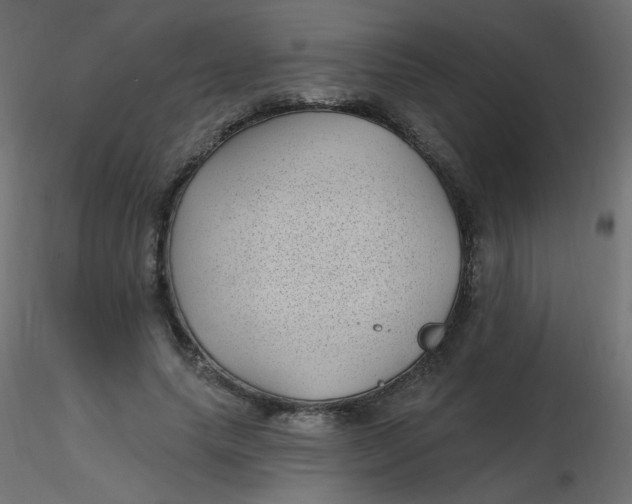 X0000116610639200912312119