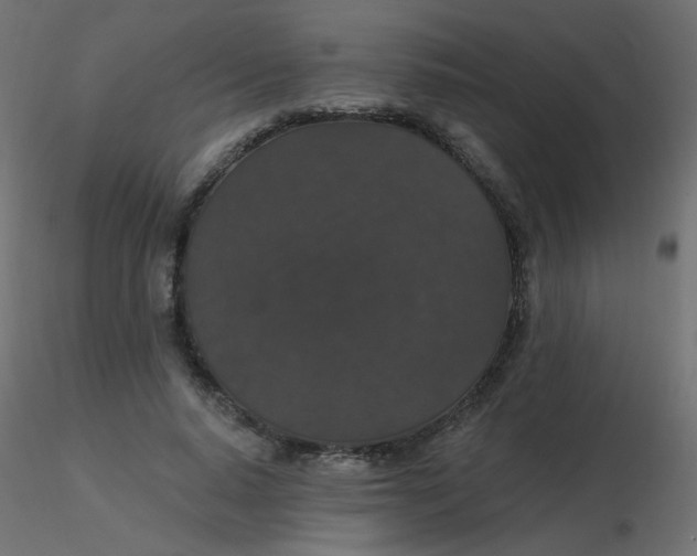 X0000116610640200912312119