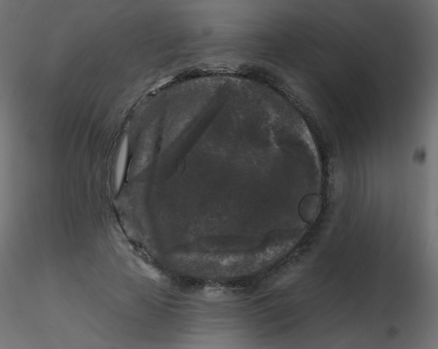 X0000116610641200912312119