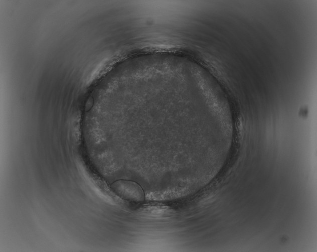 X0000116610642200912312119