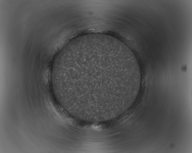 X0000116610647200912312119