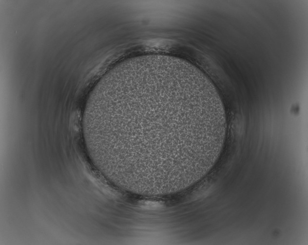 X0000116610649200912312119