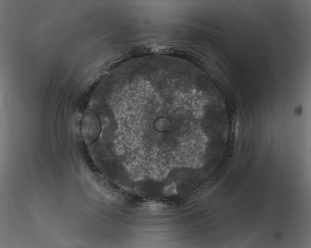 X0000116610650200912312119