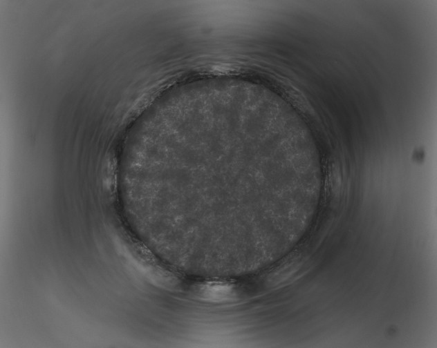 X0000116610651200912312119