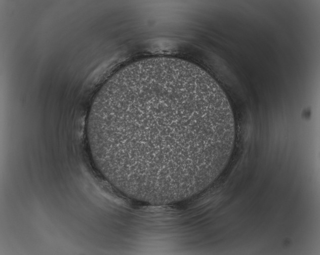 X0000116610652200912312119