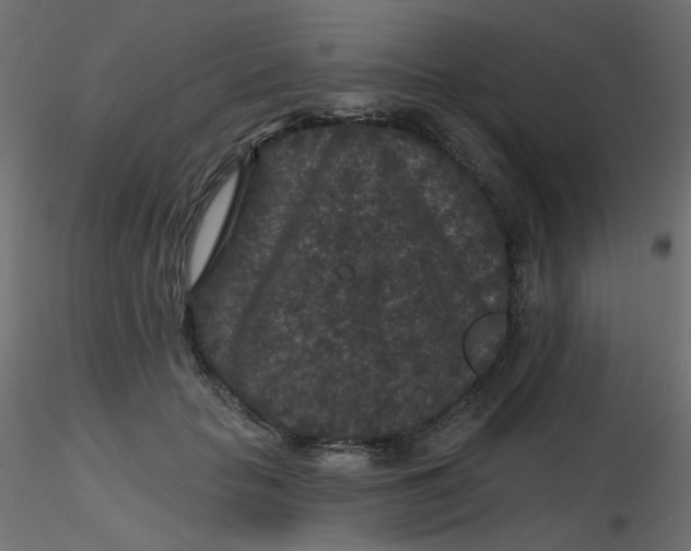 X0000116610653200912312119