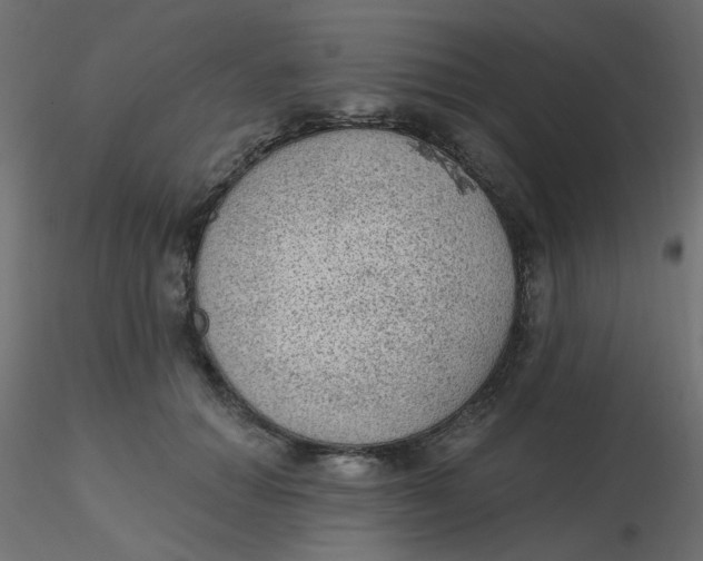 X0000116610654200912312119