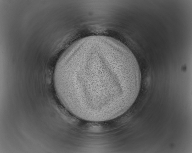 X0000116610658200912312119