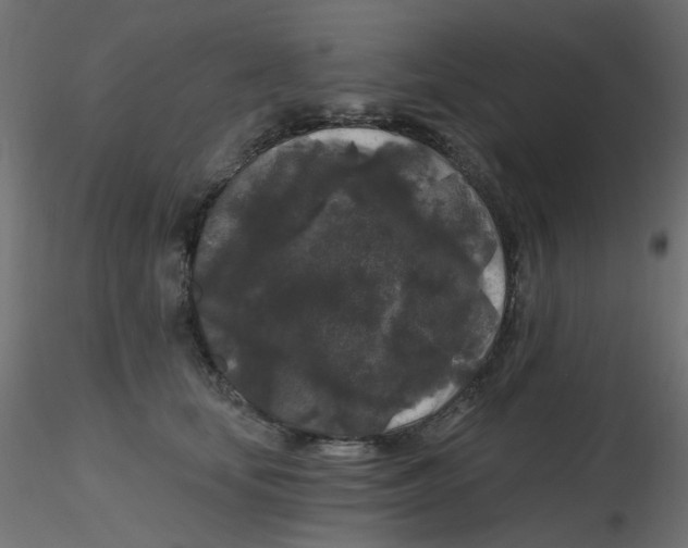 X0000116610659200912312119