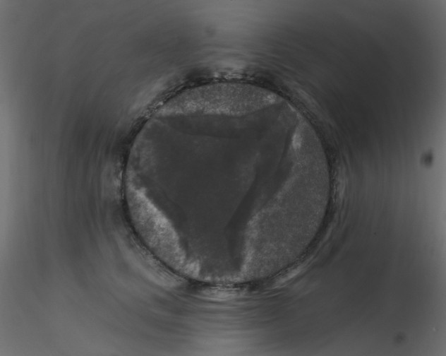 X0000116610661200912312119