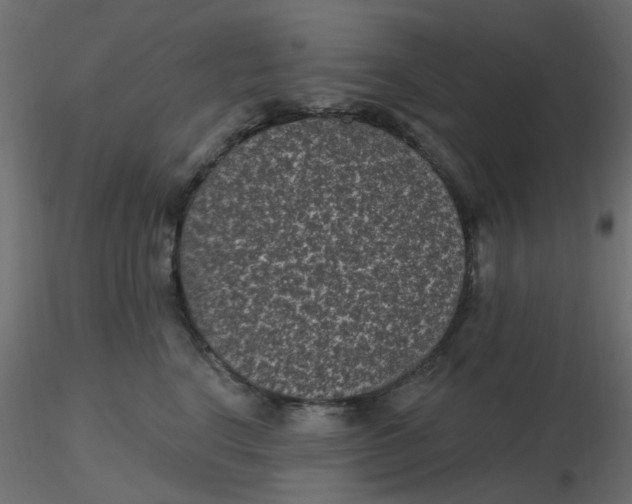 X0000116610664200912312119