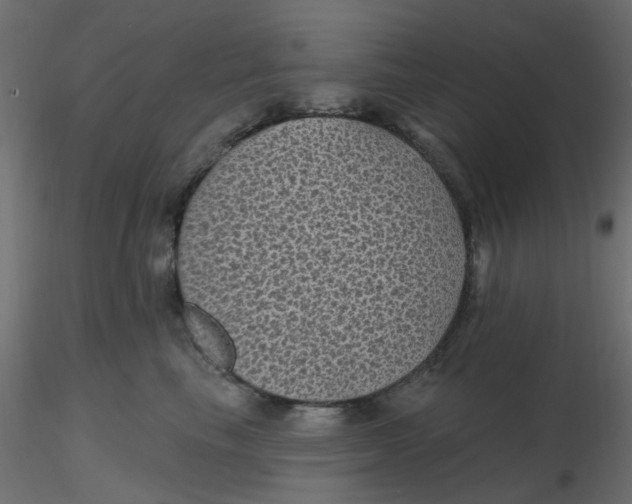 X0000116610665200912312119