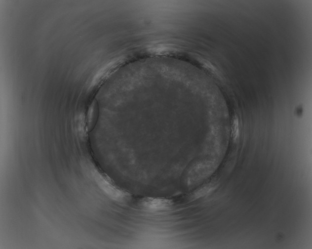 X0000116610670200912312119