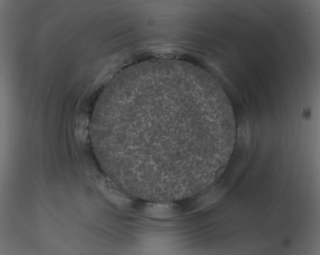 X0000116610671200912312119