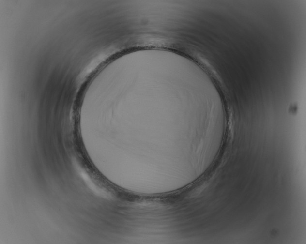 X0000116610674200912312118