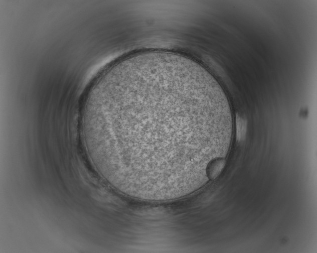 X0000116610675200912312118