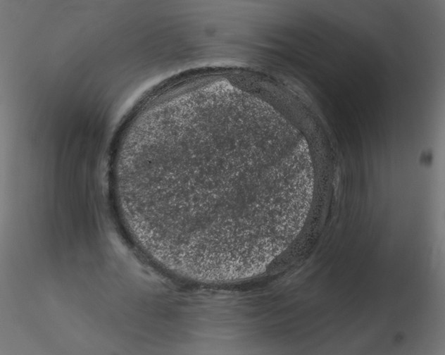 X0000116610676200912312118